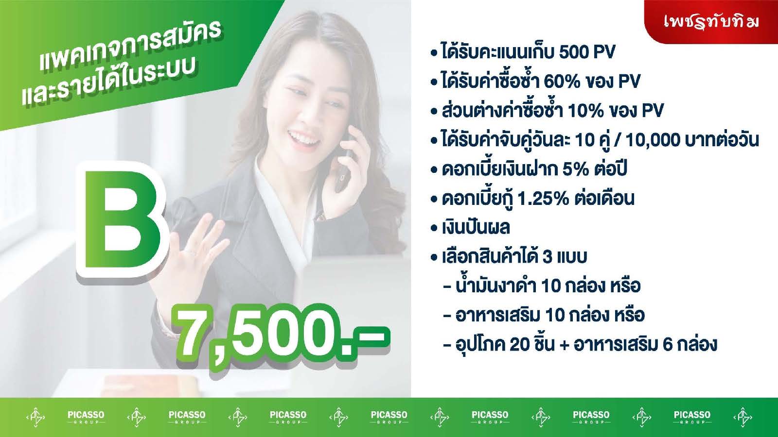 รายได้จากธุรกิจพี่คัสโซ Picasso Group